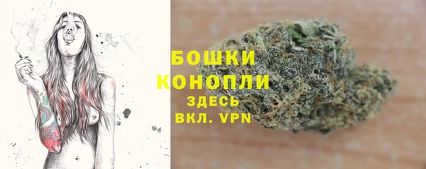 гидропоника Абаза