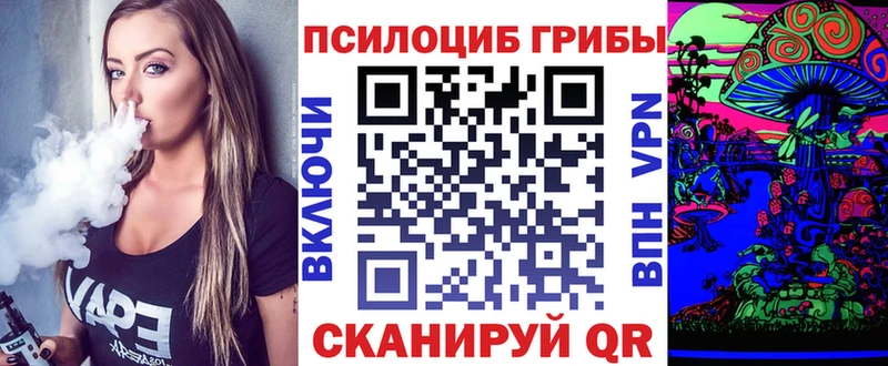 Галлюциногенные грибы Psilocybe Каменск-Уральский